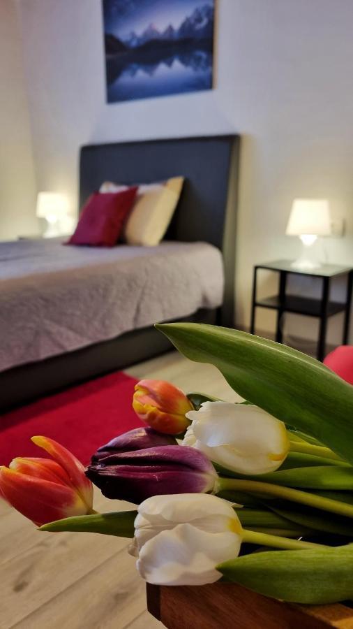 Apartment Stradun In The Heart Of Old City Dubrovnik Bagian luar foto