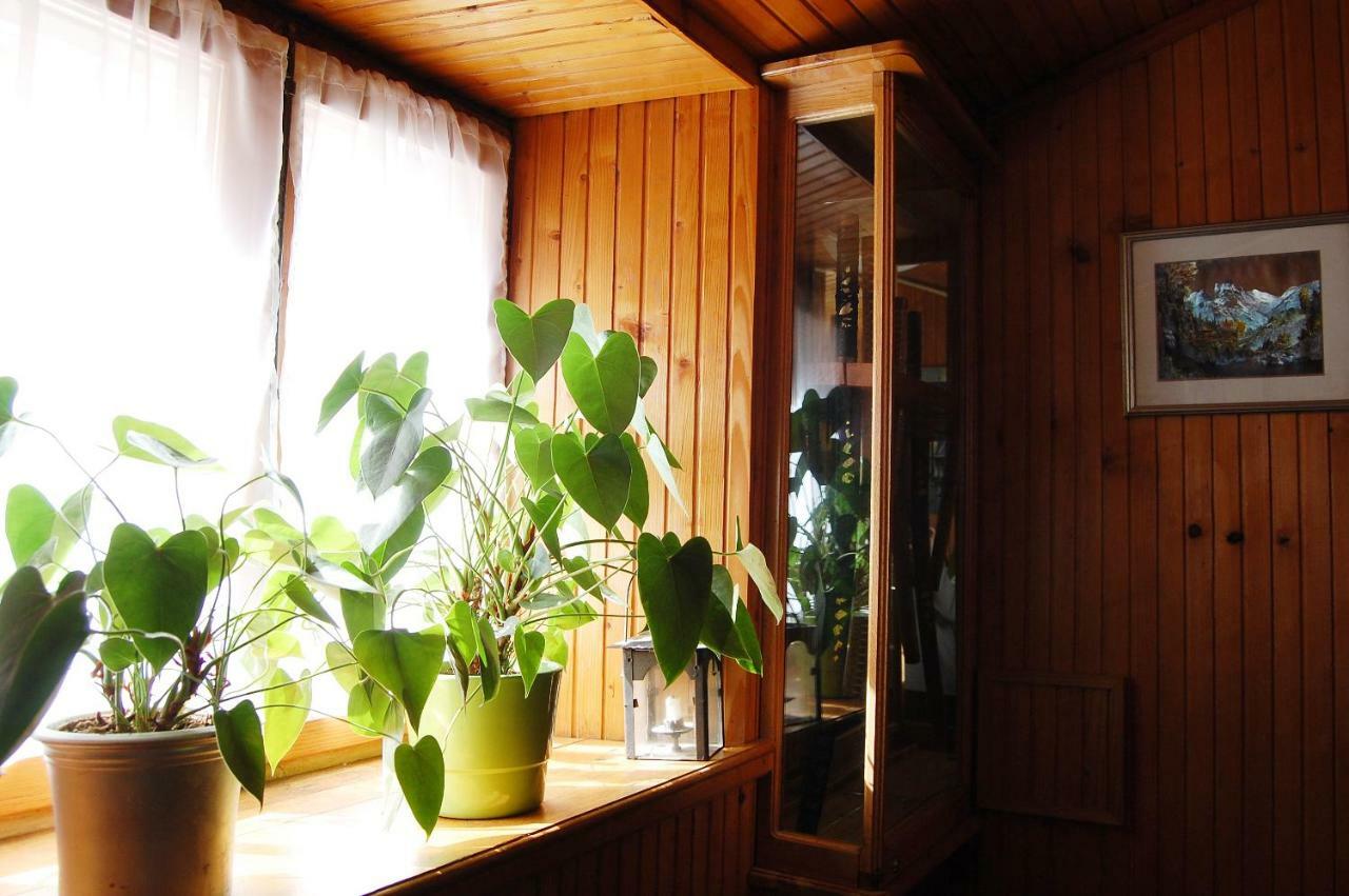 Apartment Stradun In The Heart Of Old City Dubrovnik Bagian luar foto